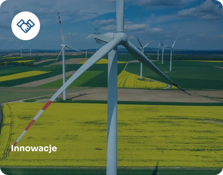 Renewable Energy (1)